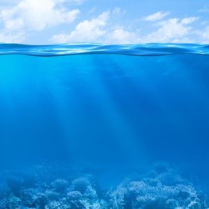 Meet your Posher, Tamra